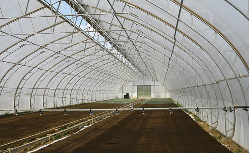 Our Greenhouse
